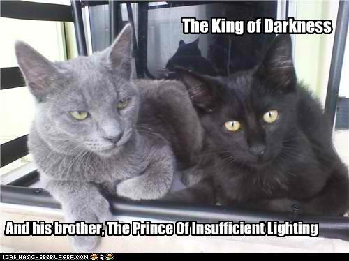 The King of Darkness