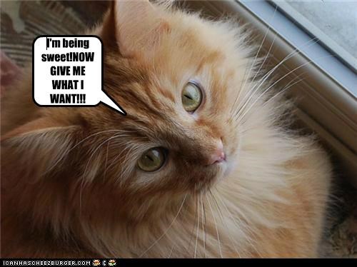I'm being sweet!NOW GIVE ME WHAT I WANT!!!