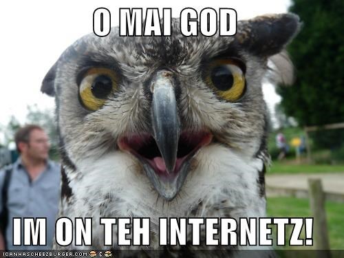 Teh Internetz: Itz a Hoot!