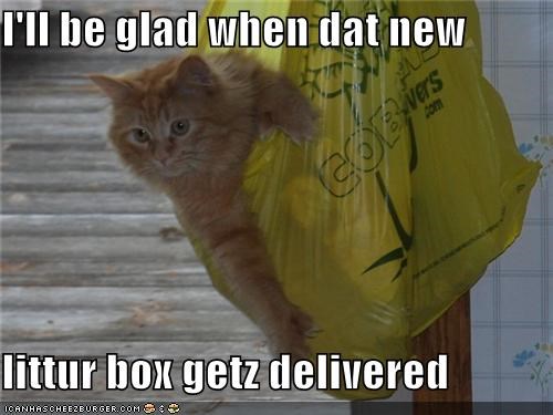 I'll be glad when dat new  littur box getz delivered