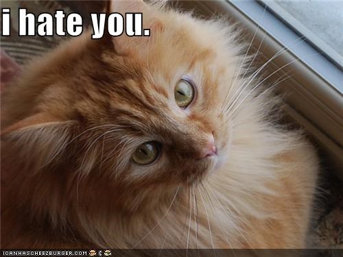 i hate you.