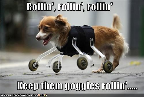 Rollin', rollin', rollin'  Keep them goggies rollin'.....