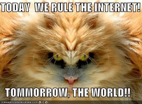 TODAY  WE RULE THE INTERNET!  TOMMORROW, THE WORLD!!