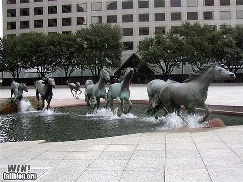 Fountain WIN