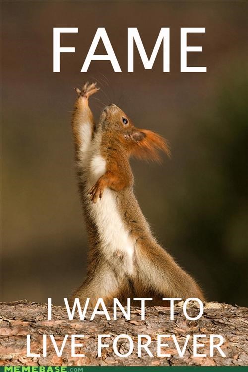 Fame Squirrel
