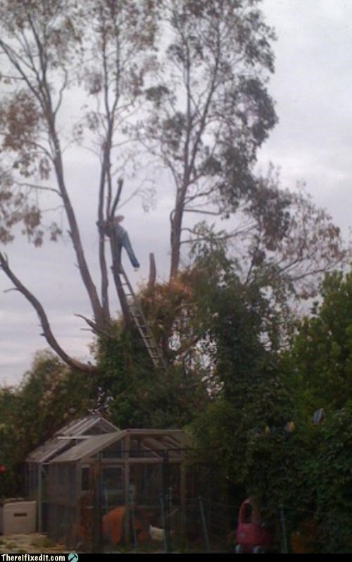 Safety Branch