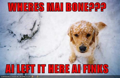 WHERES MAI BONE???  AI LEFT IT HERE AI FINKS