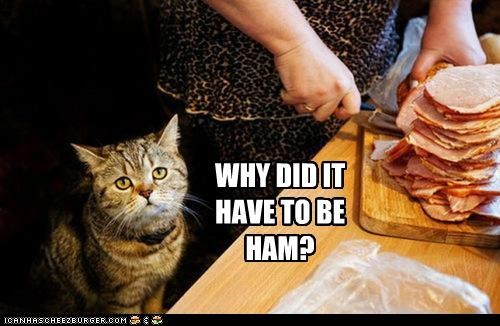 No, Cat! Ham's Bad For You!