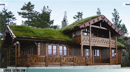 Honey, Can You Mow the Roof Today?