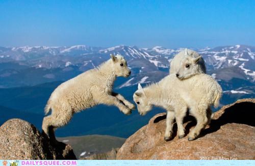 A Leap of Faith