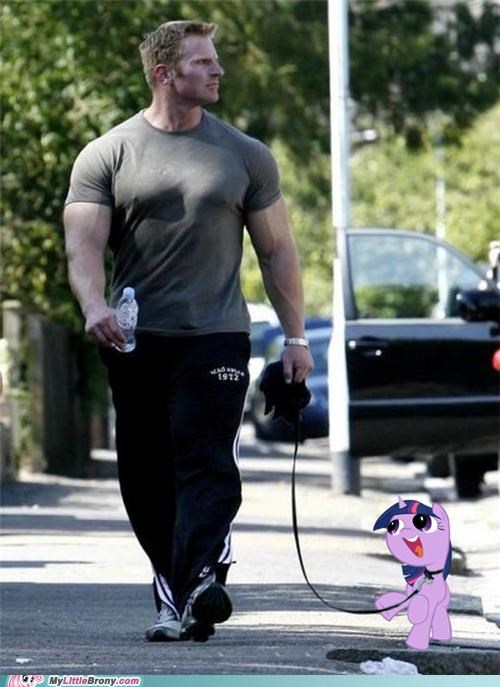 Your Average Brony