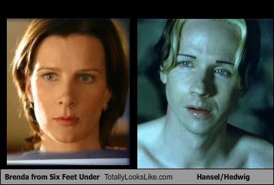 Brenda from "Six Feet Under" Totally Looks Like Hansel/Hedwig from "Hedwig and the Angry Inch"