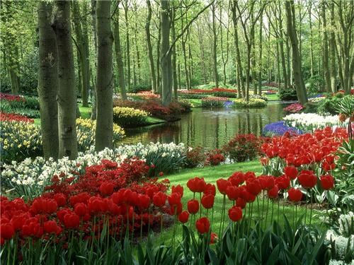 Keukenhof Gardens, Keukenhof, Holland