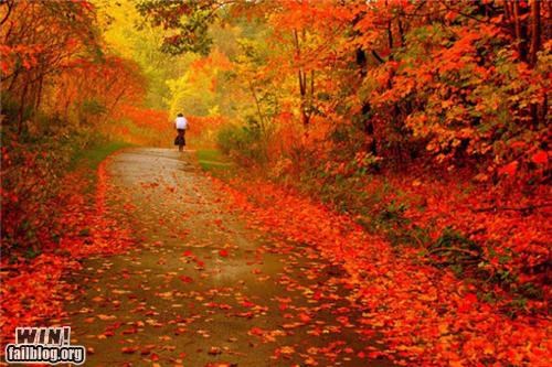 Autumn WIN