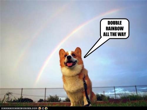 DOUBLE RAINBOW ALL THE WAY