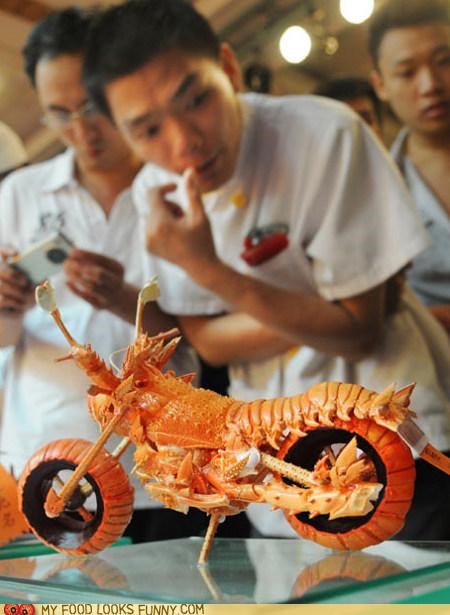 Lobster Cycle
