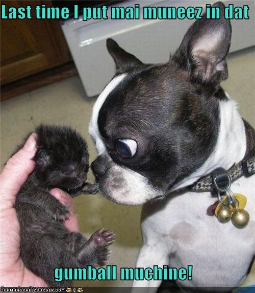 Last time I put mai muneez in dat  gumball muchine!
