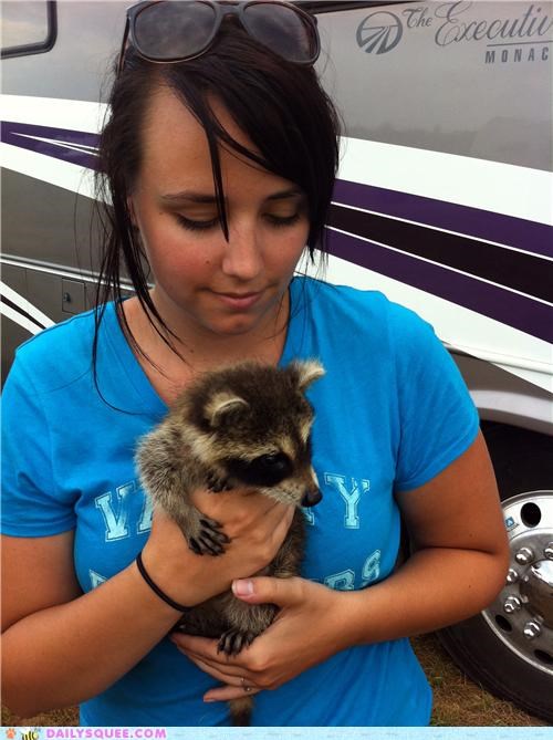 Bandit the baby raccoon!