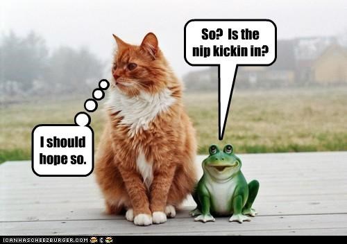 That's some good sh-nip.