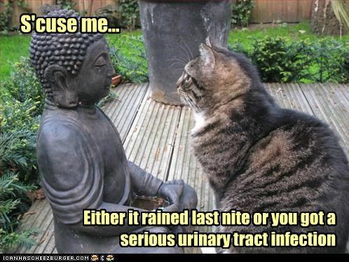 Meditate on that!