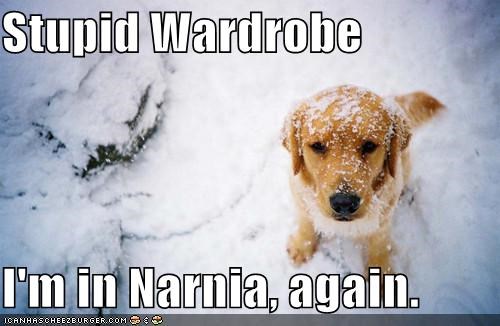 Stupid Wardrobe