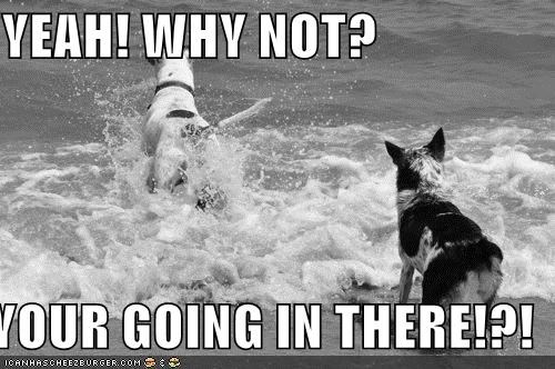 YEAH! WHY NOT?  YOUR GOING IN THERE!?!