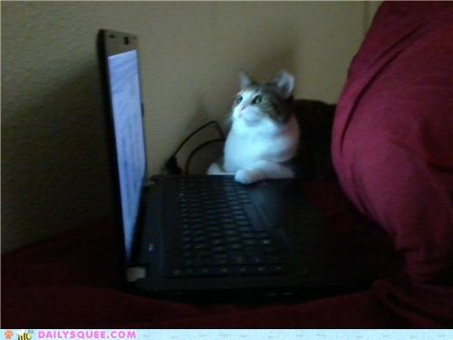 I can has interwebz!