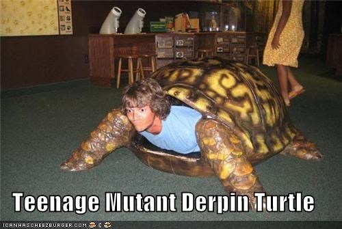 Teenage Mutant Derpin Turrrrtle