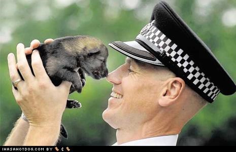 Goggie ob teh Week - Police & Safety Dogs: Future's In My Hands