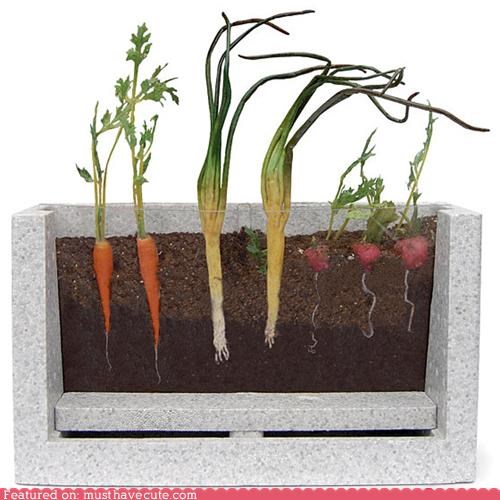 Watch Them Grow