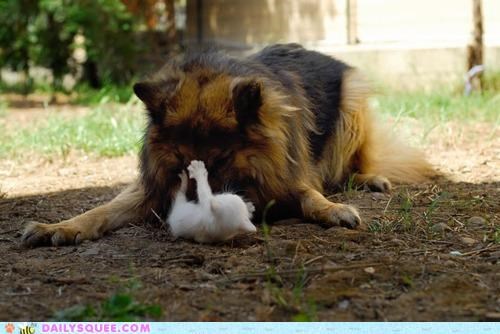 Interspecies Love: Play Time is Over... OR IS IT??