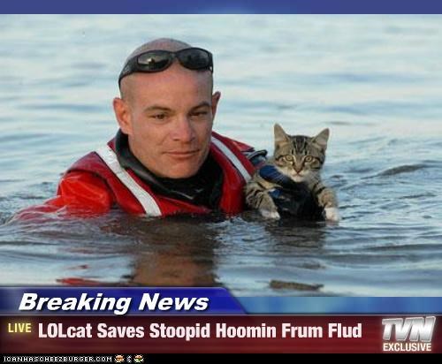 Breaking News - LOLcat Saves Stoopid Hoomin Frum Flud