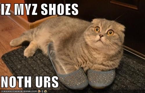 IZ MYZ SHOES