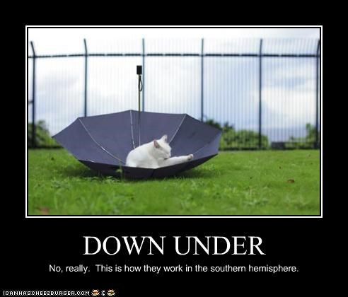 F*%#ING AUSTRALIAN UMBRELLAS: HOW DO THEY WORK?