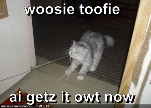woosie toofie  ai getz it owt now