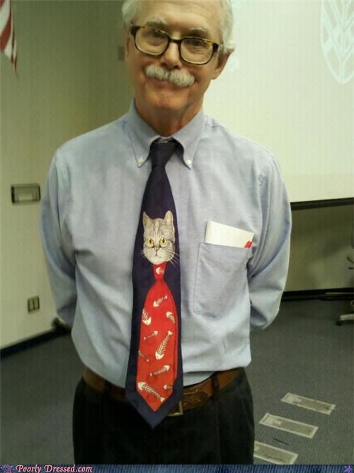A Cat Wearing a Tie of a Cat Wearing a Tie