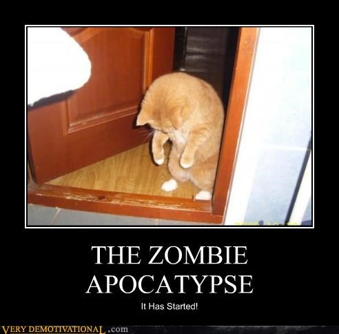 THE ZOMBIE APOCATYPSE