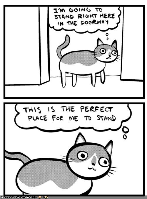 Kitteh Komic ob teh Day: Kitteh Decisions