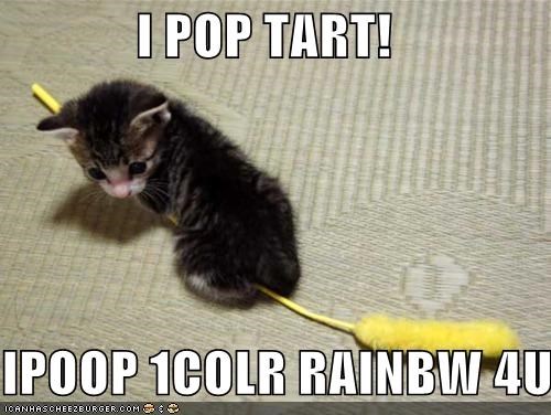 Knockoff Nyan