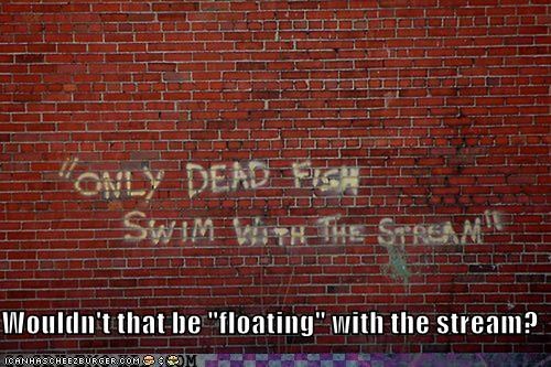 Wouldn't that be "floating" with the stream?