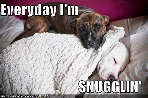 Everyday