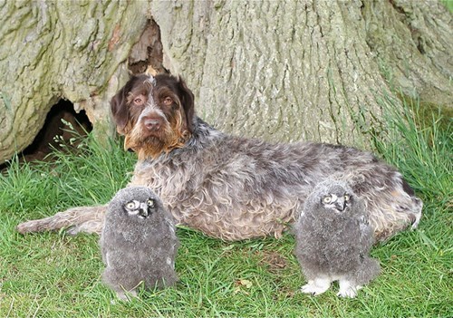 Squee Spree: Friends of a Texture Fluff Together