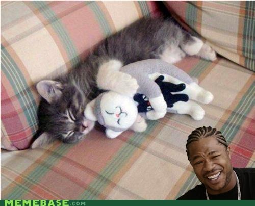 Yo Cat