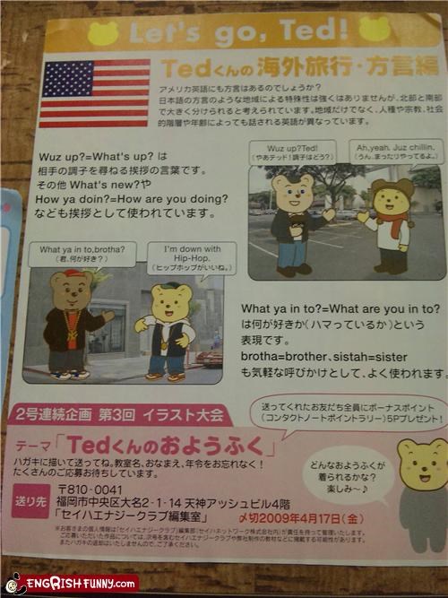 Slang is Even Cuter with Bears!