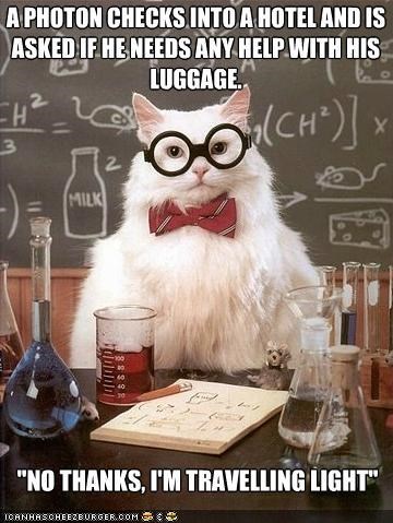 MemeCats: I Need a Vacation From This Vacation