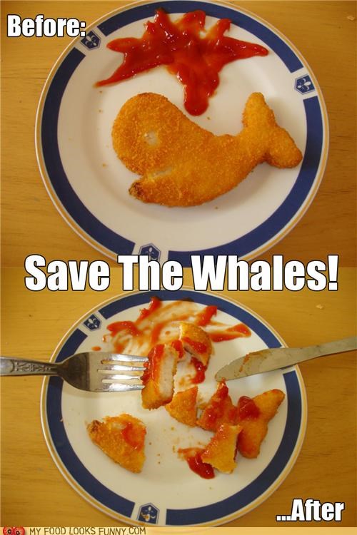 Whales Schmales