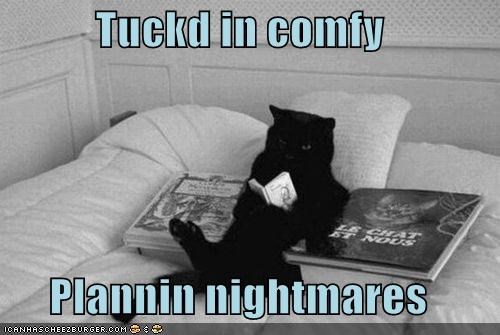 Tuckd in comfy  Plannin nightmares