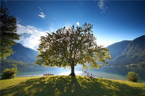 Lake Bohinj, Slovenia