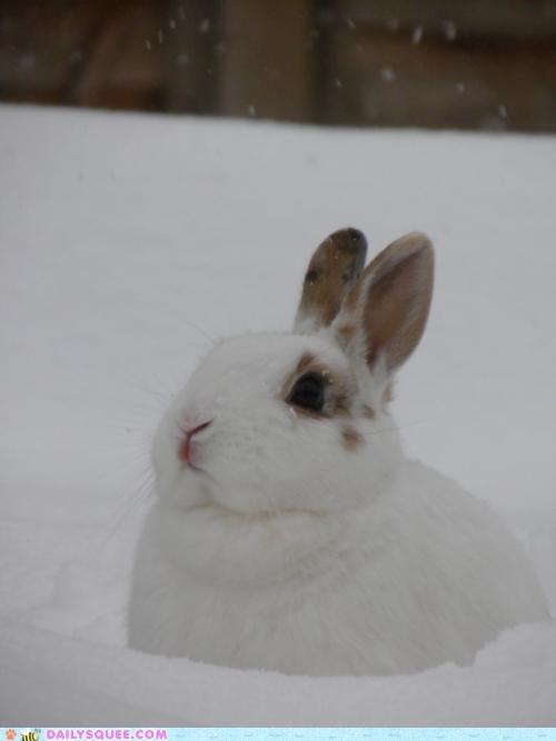 Winter Came Early...