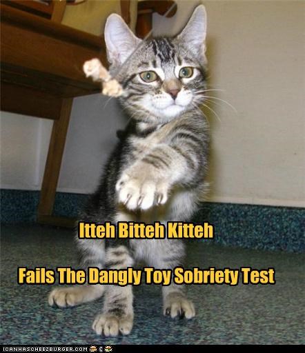 Itteh Bitteh Kitteh